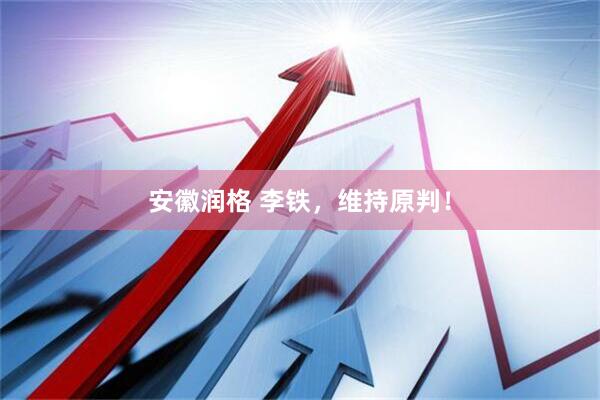 安徽润格 李铁，维持原判！