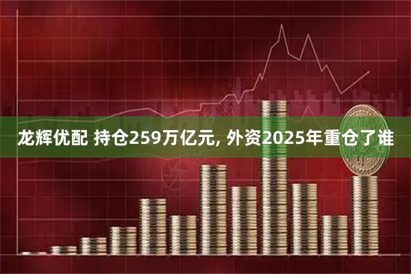 龙辉优配 持仓259万亿元, 外资2025年重仓了谁