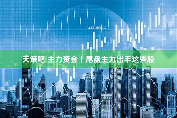 天策吧 主力资金丨尾盘主力出手这些股